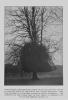 256726 – Photo : E.W. Swanton – Royaume-Uni